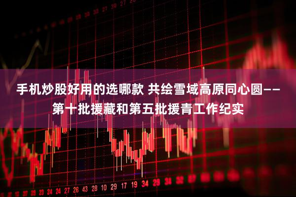 手机炒股好用的选哪款 共绘雪域高原同心圆——第十批援藏和第五批援青工作纪实