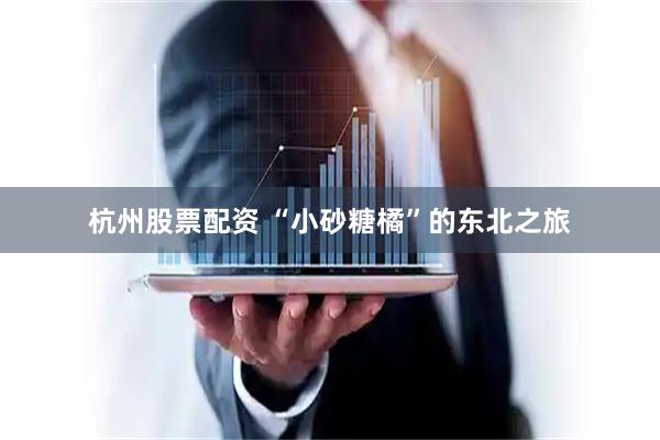 杭州股票配资 “小砂糖橘”的东北之旅